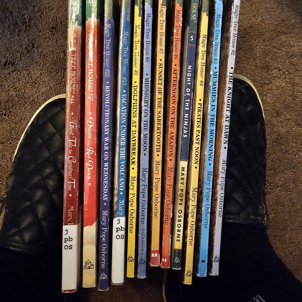 Magic Tree House Series